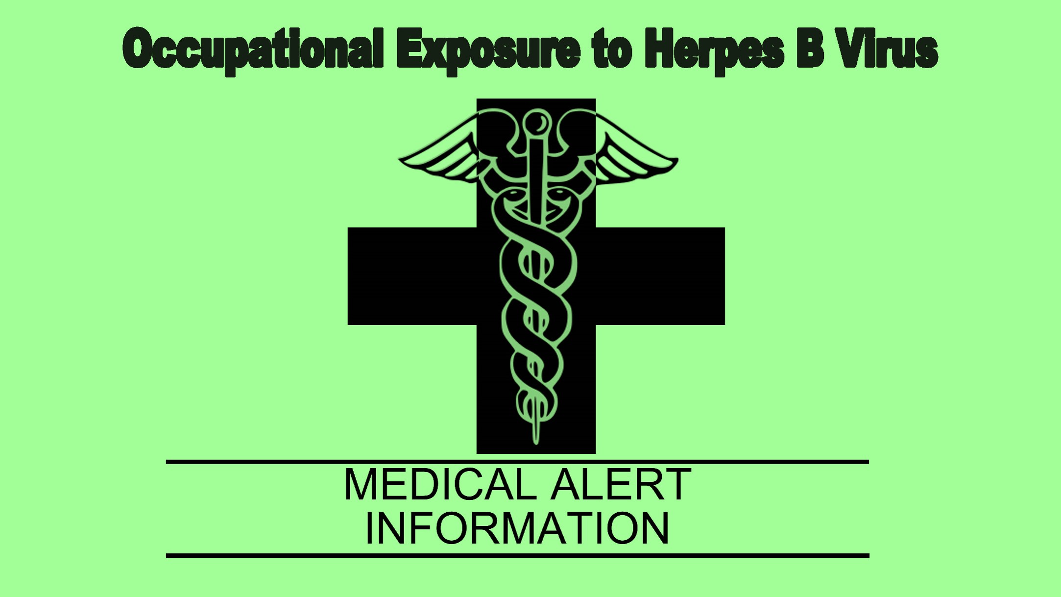 Herpes B Card