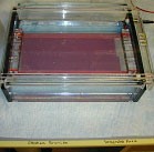 Photo of electrophoresis gel tray